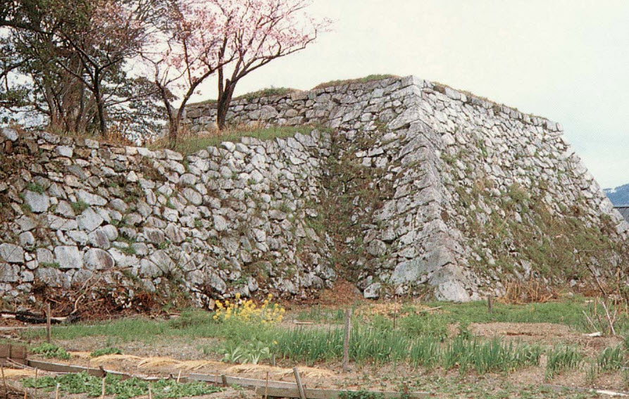 Obama Castle, Japan